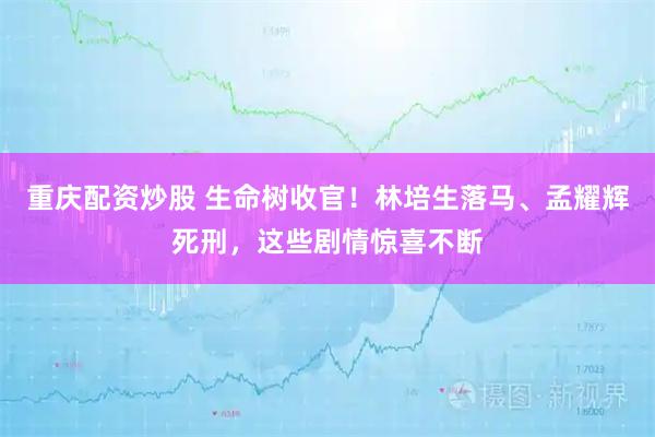 重庆配资炒股 生命树收官！林培生落马、孟耀辉死刑，这些剧情惊喜不断