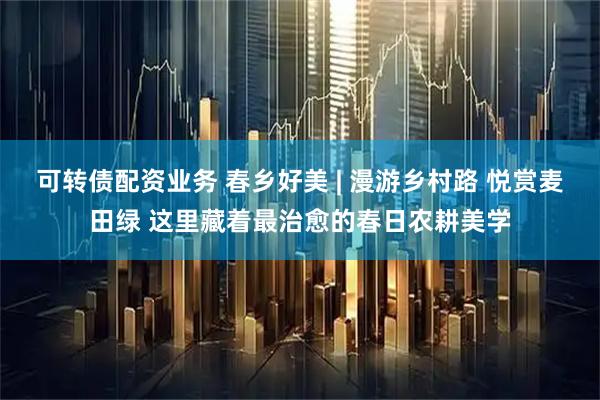 可转债配资业务 春乡好美 | 漫游乡村路 悦赏麦田绿 这里藏着最治愈的春日农耕美学